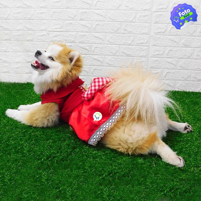 🎭🐾 PetLove Disfraces 💖 – Viste a tu peludito con estilo y diversión ✨🐶🐱 🐕👑 Haz de tu mascota la estrella de la fiesta 🌟