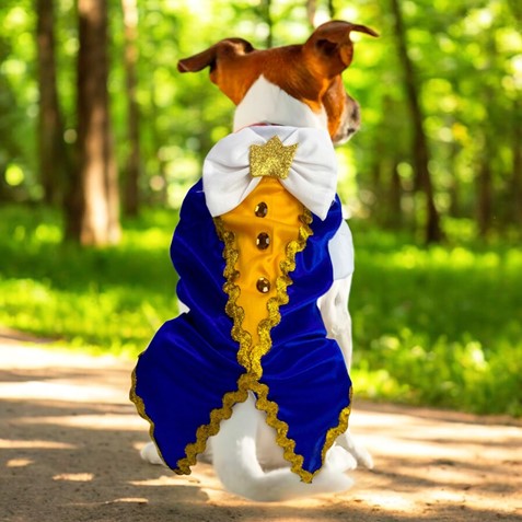 🎭🐾 PetLove Disfraces 💖 – Viste a tu peludito con estilo y diversión ✨🐶🐱 🐕👑 Haz de tu mascota la estrella de la fiesta 🌟