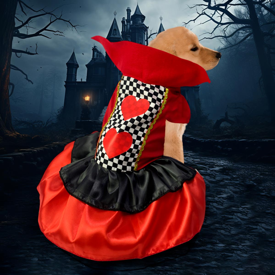 🎭🐾 PetLove Disfraces 💖 – Viste a tu peludito con estilo y diversión ✨🐶🐱 🐕👑 Haz de tu mascota la estrella de la fiesta 🌟