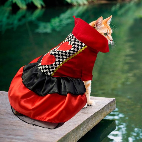 🎭🐾 PetLove Disfraces 💖 – Viste a tu peludito con estilo y diversión ✨🐶🐱 🐕👑 Haz de tu mascota la estrella de la fiesta 🌟