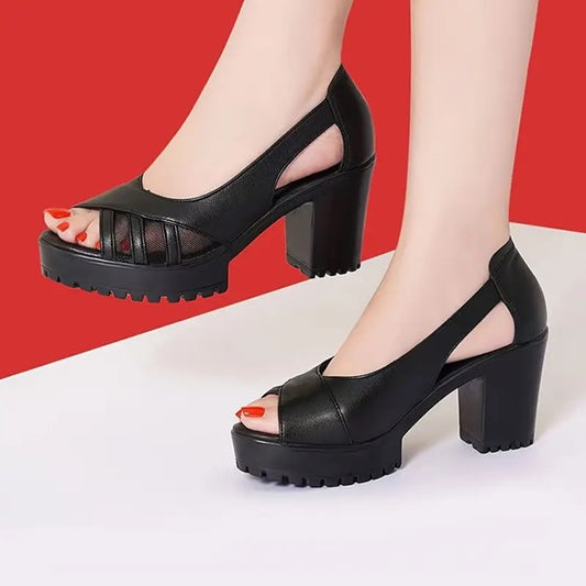 SkandiWalk 👡❄️ Moda, confort y estilo para caminar con total comodidad 🌿✨